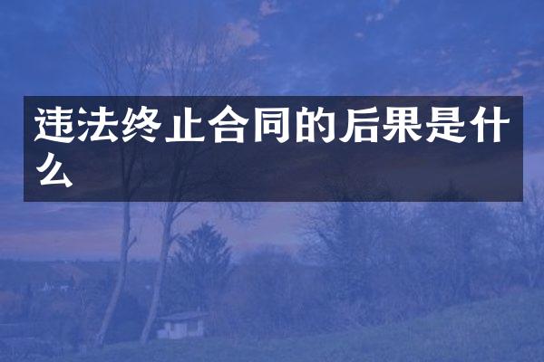 违法终止合同的后果是什么