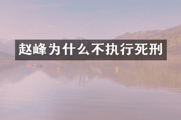 赵峰为什么不执行死刑