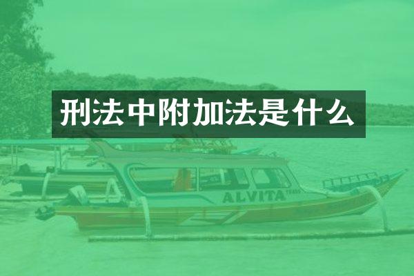 刑法中附加法是什么