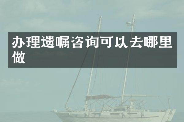 办理遗嘱咨询可以去哪里做
