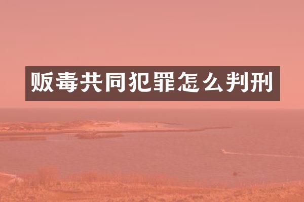 共同犯罪怎么判刑