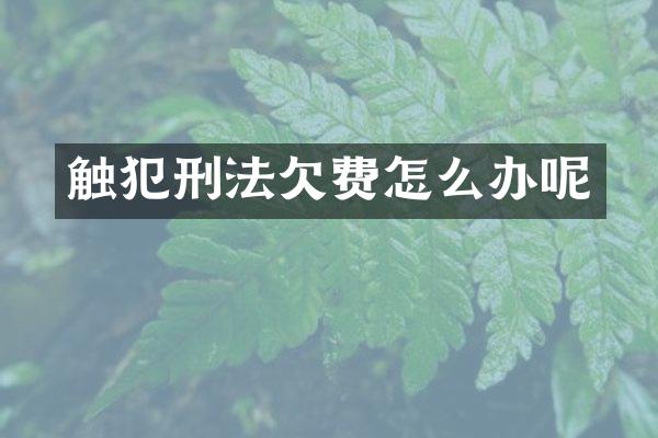 触犯刑法欠费怎么办呢
