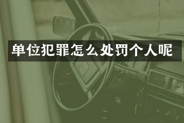 单位犯罪怎么处罚个人呢