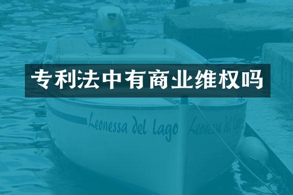 专利法中有商业吗