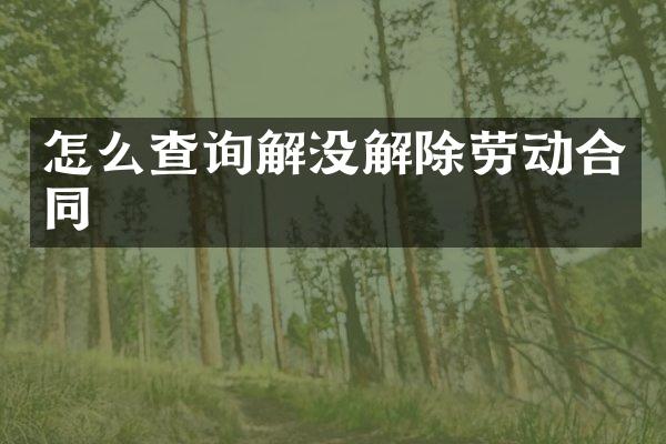 怎么查询解没解除劳动合同