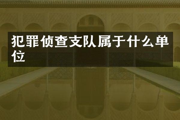 犯罪侦查支队属于什么单位