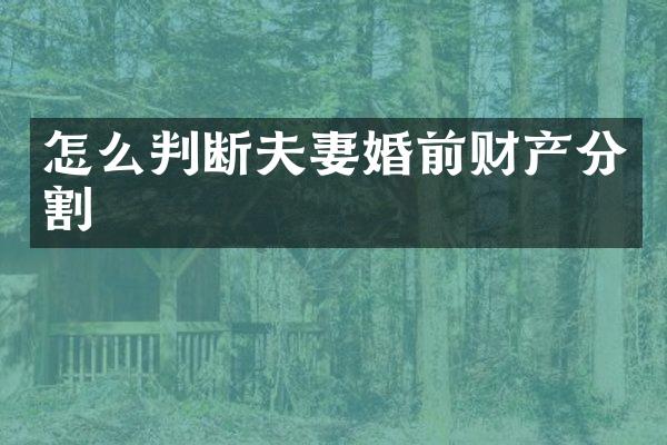 怎么判断夫妻婚前财产分割