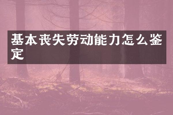 基本丧失劳动能力怎么鉴定