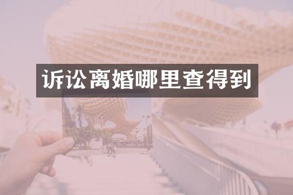 诉讼离婚哪里查得到