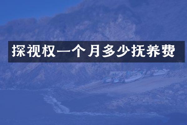 探视权一个月多少抚养费