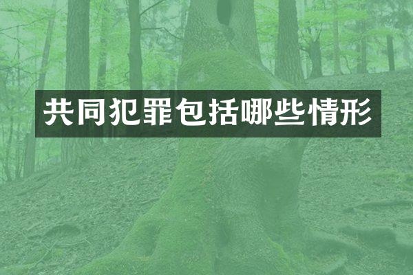 共同犯罪包括哪些情形