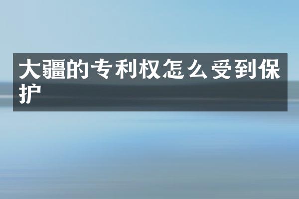 大疆的专利权怎么受到保护