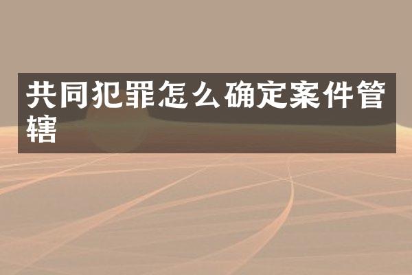 共同犯罪怎么确定案件管辖
