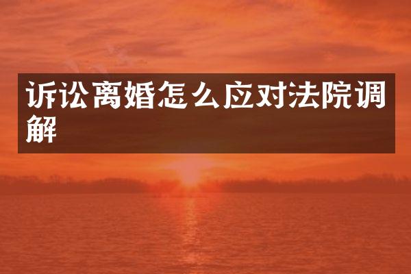 诉讼离婚怎么应对法院调解