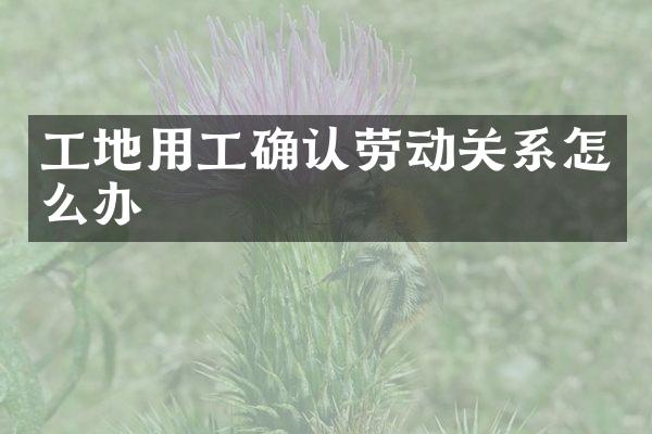 工地用工确认劳动关系怎么办