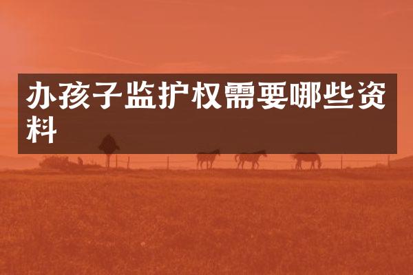 办孩子监护权需要哪些资料
