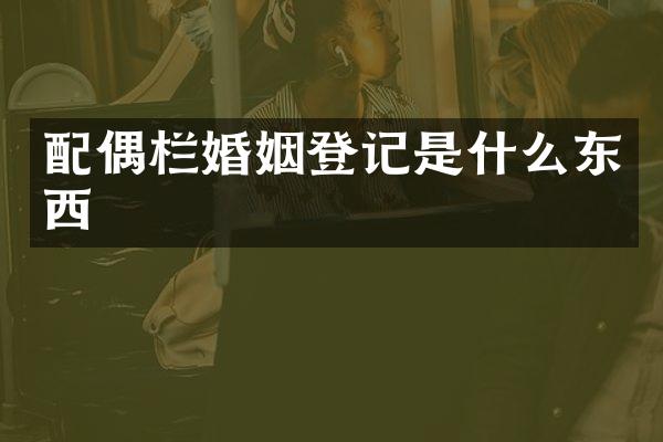 配偶栏婚姻登记是什么东西