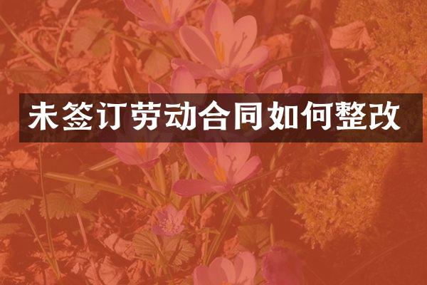 未签订劳动合同如何整改