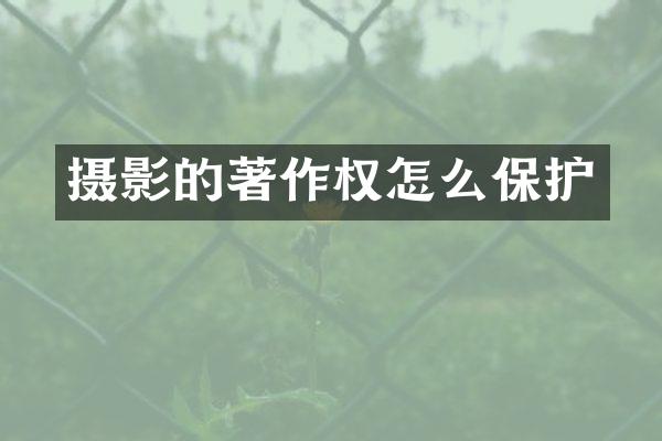 摄影的著作权怎么保护