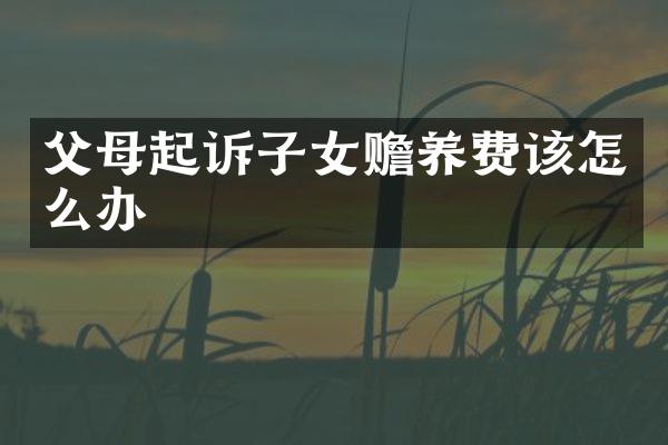父母起诉子女赡养费该怎么办