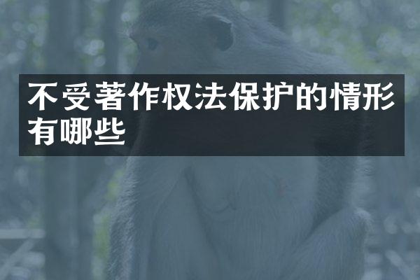 不受著作权法保护的情形有哪些