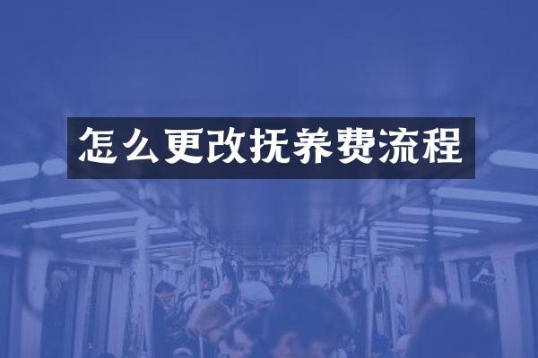 怎么更改抚养费流程