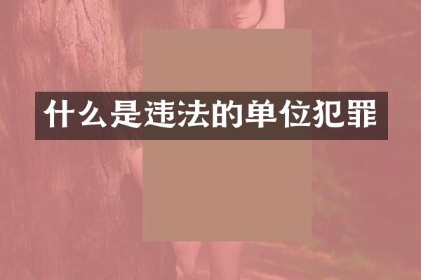 什么是违法的单位犯罪