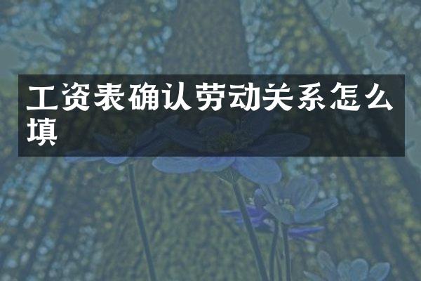 工资表确认劳动关系怎么填
