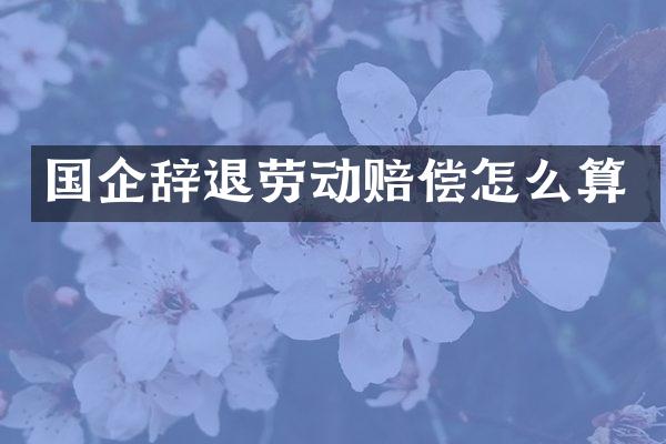 国企辞退劳动赔偿怎么算