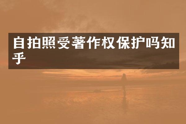 照受著作权保护吗知乎