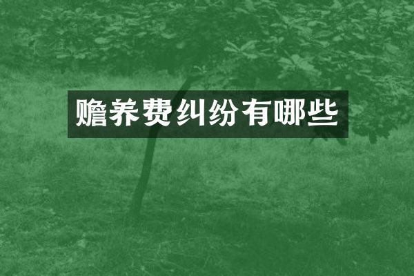 赡养费纠纷有哪些