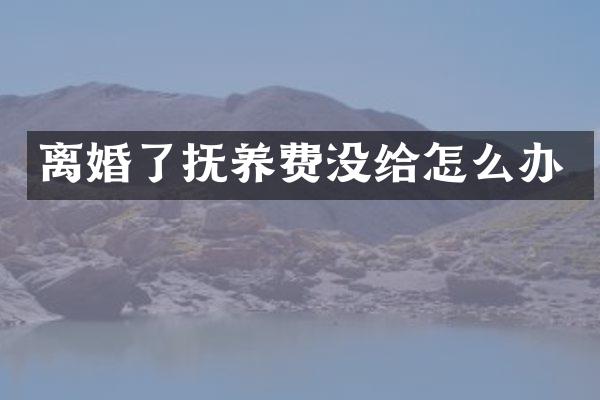 离婚了抚养费没给怎么办