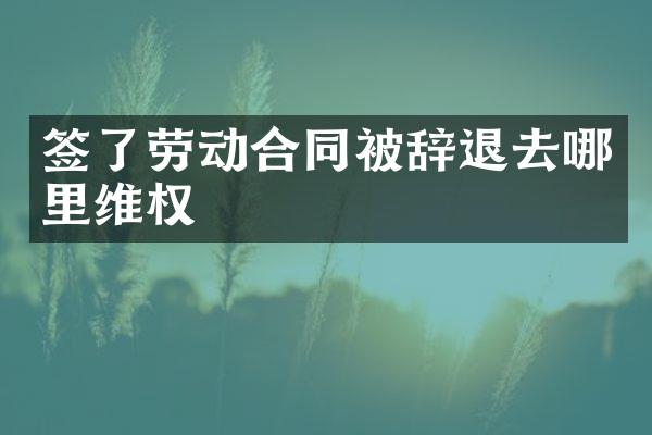 签了劳动合同被辞退去哪里