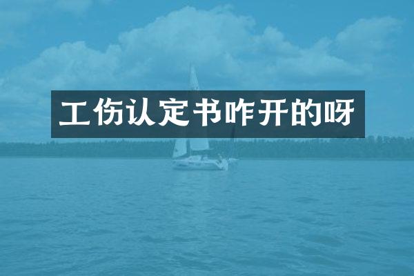 工伤认定书咋开的呀