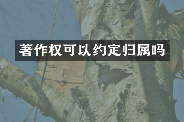 著作权可以约定归属吗
