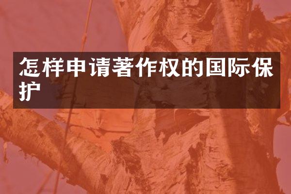 怎样申请著作权的国际保护