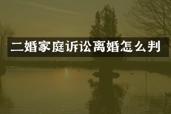 二婚家庭诉讼离婚怎么判