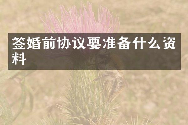 签婚前协议要准备什么资料