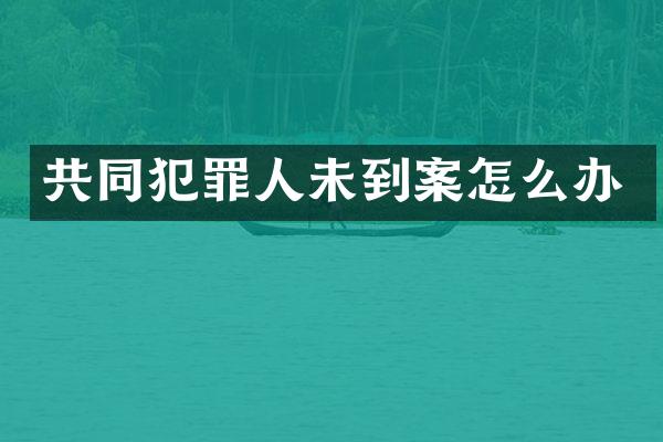 共同犯罪人未到案怎么办