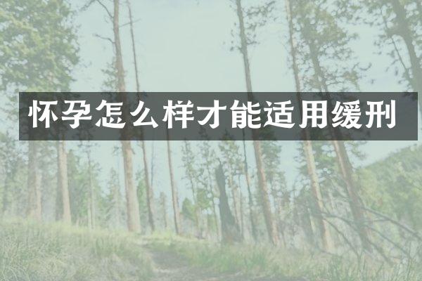 怀孕怎么样才能适用缓刑