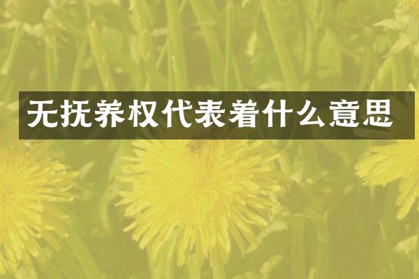 无抚养权代表着什么意思