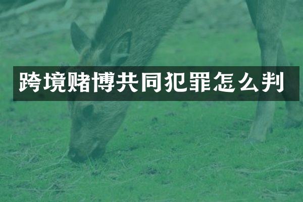 跨境共同犯罪怎么判