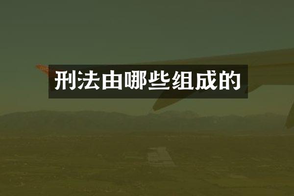 刑法由哪些组成的