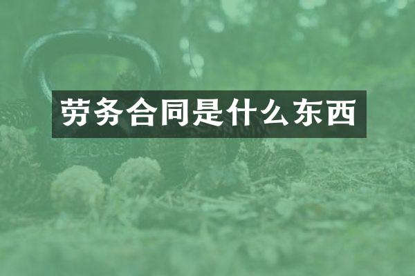 劳务合同是什么东西