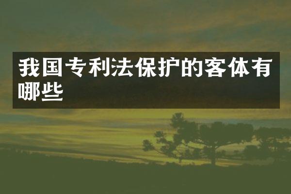 我国专利法保护的客体有哪些