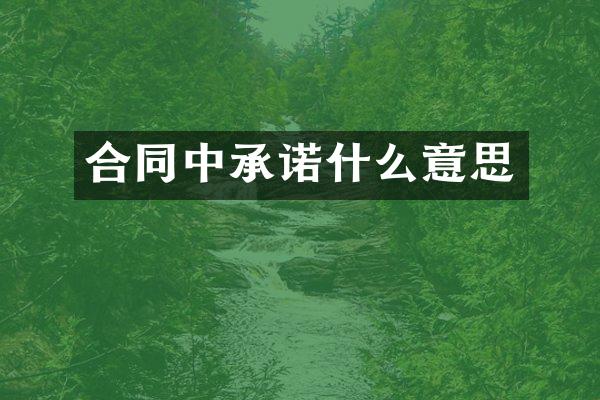 合同中承诺什么意思