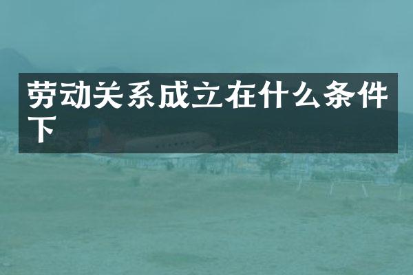劳动关系成立在什么条件下