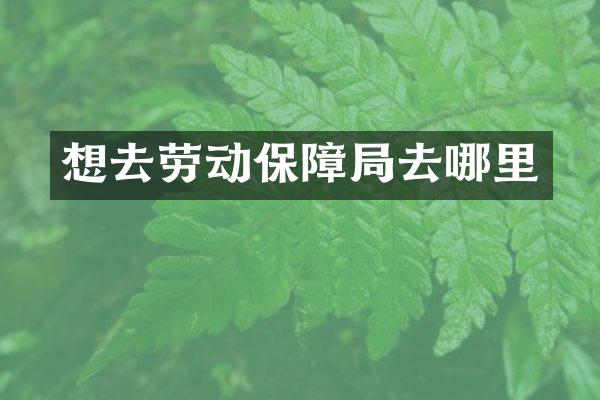 想去劳动保障局去哪里