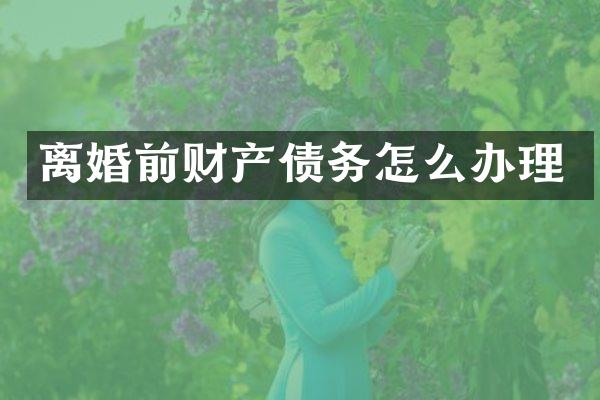 离婚前财产债务怎么办理