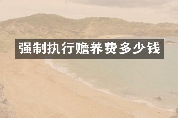 强制执行赡养费多少钱